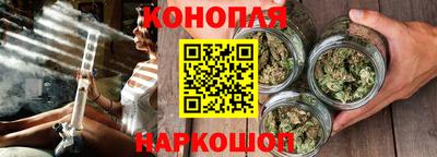 сатива Донской