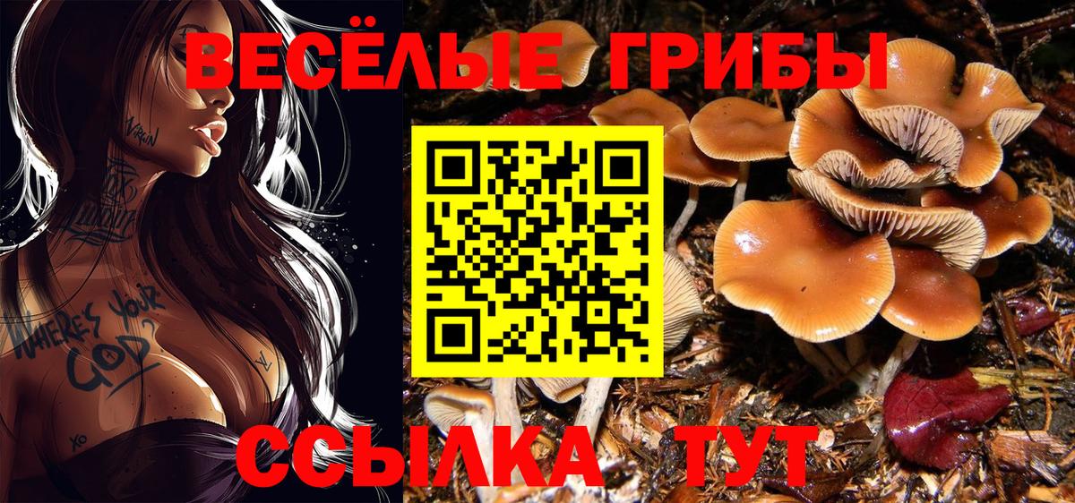 Кизляр  Бошки Шишки  МЕФ   A PVP СК кристаллы  МДМА  COCAIN  Вход с VPN  ГАШ 