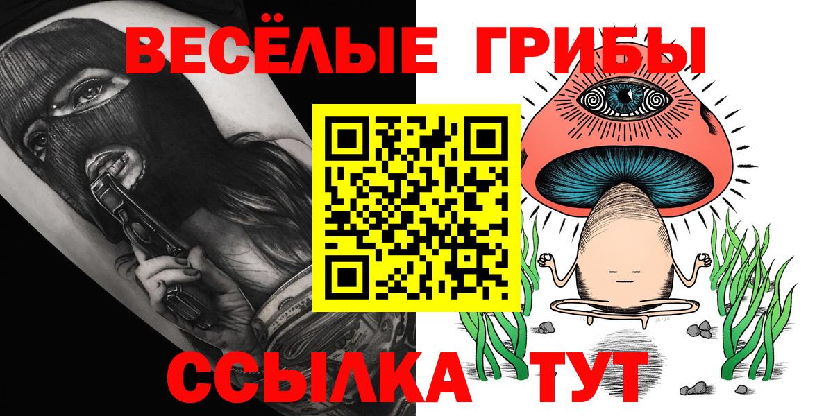 Псилоцибиновые грибы мицелий Кизляр
