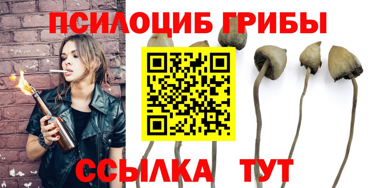 Псилоцибиновые грибы мицелий  Вход с VPN  Кизляр 